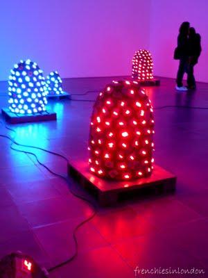 Expositions lumineuses Expositions lumineuses