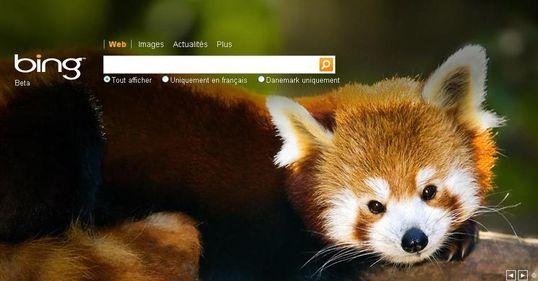 Mozilla Firefox Microsoft Bing