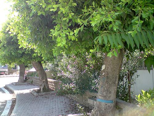 La ville de Jounieh … sur la route de nos rêves! RechecheChezNous0003