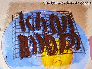 Orangettes orangettes.jpg