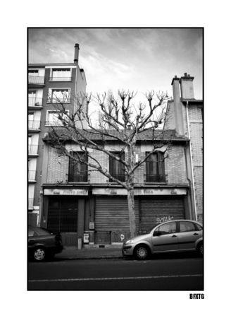 Studio Saka 47437127