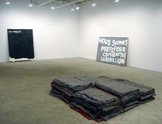 Gardar Eide Einarsson, installation view, 2005, Team Gallery, New York 	 