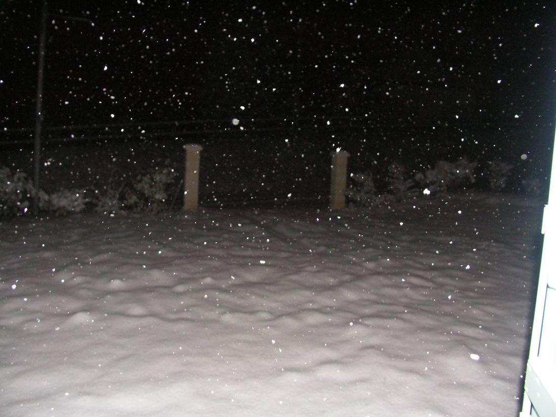 Neige_2009 009 Neige_2009 009