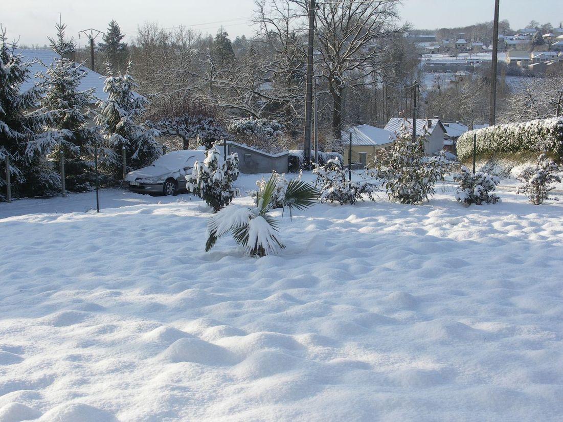 Neige_2009 010 Neige_2009 010