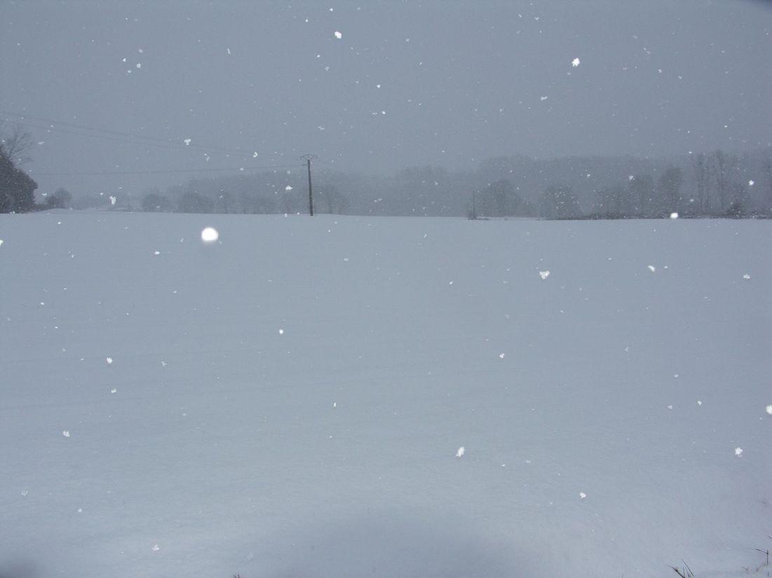 Neige_2009 025 Neige_2009 025