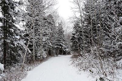 Promenade hivernale à Chicoutimi