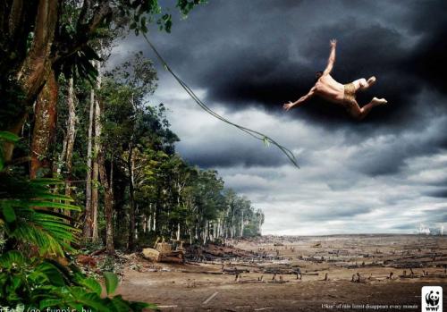 pub wwf tarzan La créativité au service des grandes causes