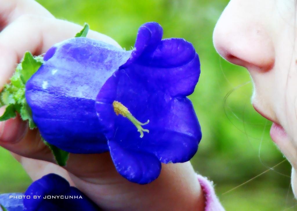 Comment choisir un parfum ?