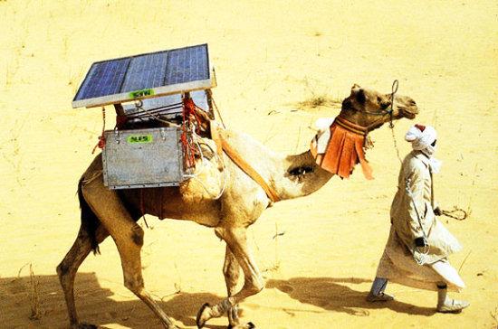 solar-powered-camel