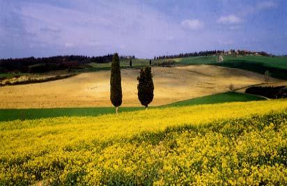 Informations pour vacances en Toscane