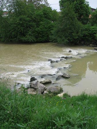 Balade pluvieuse au bord du Gers ! IMG_2503