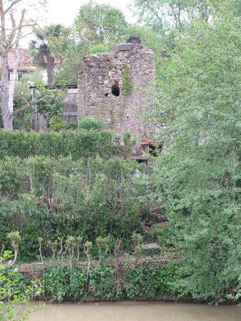 Balade pluvieuse au bord du Gers ! IMG_2515