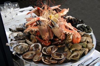 fotolia 3891870 xs Quels vins pour accompagner vos repas de fin dannée ? fotolia 3891870 xs actualite Quels vins pour accompagner vos repas de fin dannée ?