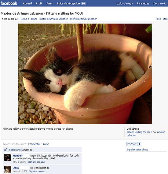 “Youpi! Je vais fêter noël dans ma maison à moi!”… Barbenoirenewhomefaceboo2