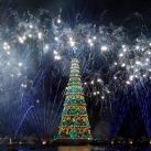 Brazil Christmas Tree Lighting