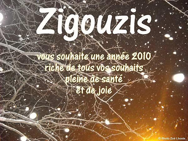 Miss Zigouzis et sa tribue vous souhaitent une heureuse année 2010 voeux-2010.png
