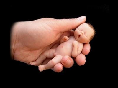 à croquer à croquer