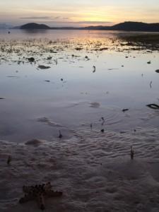 mer Philippines #5 La vie en bleu