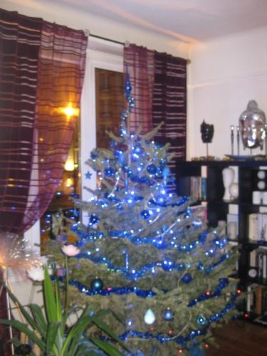 Sapin Noël W 2009 home.JPG