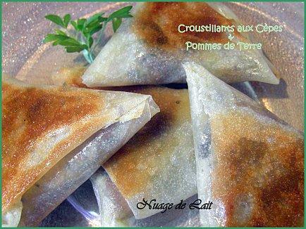 Croustillants aux Cèpes et Pommes de Terre 5555D 020