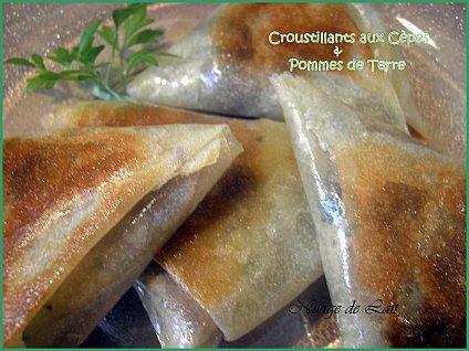 Croustillants aux Cèpes et Pommes de Terre 5555D 022