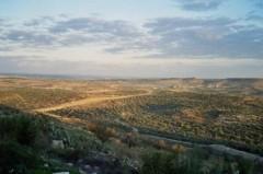 Un conte de Noël (fin) paysage_palestine_jayyous.jpg