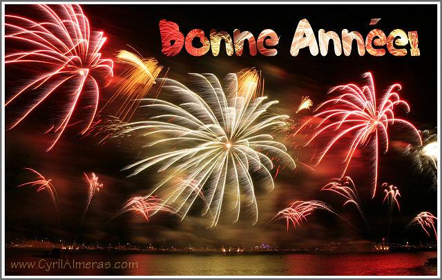 Bonne année 2010 !