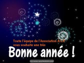 Toute l'équipe de l'Association A.C.P vous souhaite une très bonne année 2010 !