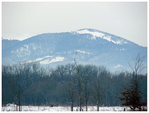 Dame nature sous la neige suite DSC01786 ballon d'alsace
