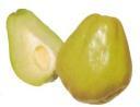 Chayote blanche Chayote blanche