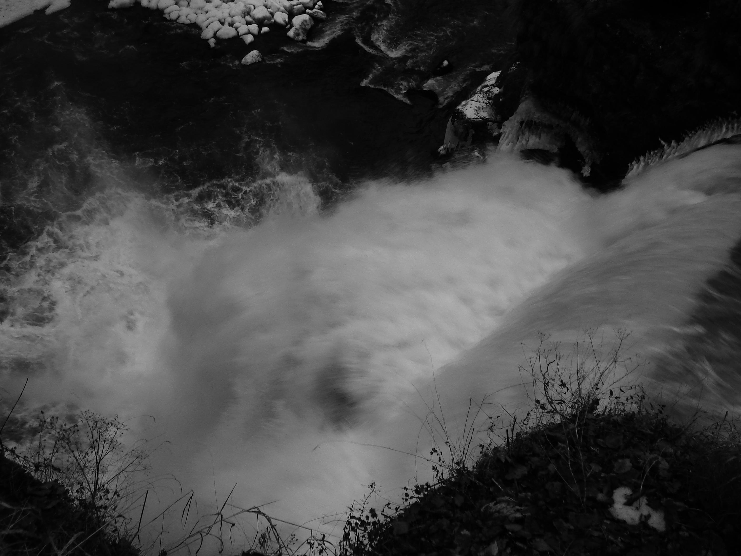 Bonne année 2010 ! Bonne année 2010 !