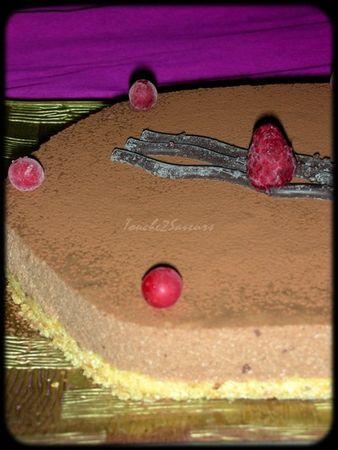 Bavarois au chocolat Copie_de_DSCN6858