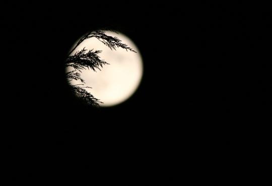 lune blanche C’est l’heure exquise (Verlaine)