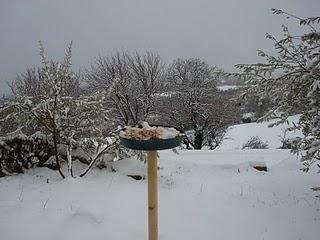 Le resto des oiseaux Le resto des oiseaux