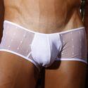 Shorty transparent