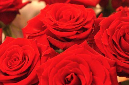 En bref... PICT0003__2_