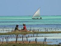 Zanzibar en hiver... une parenthèse doucement épicée