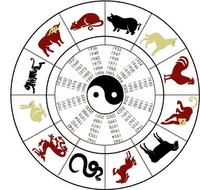 Zodiac Chinois: alliés et ami secret du dragon