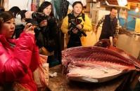 Les premières enchères de l’année dans le plus grand marché de poisson au monde