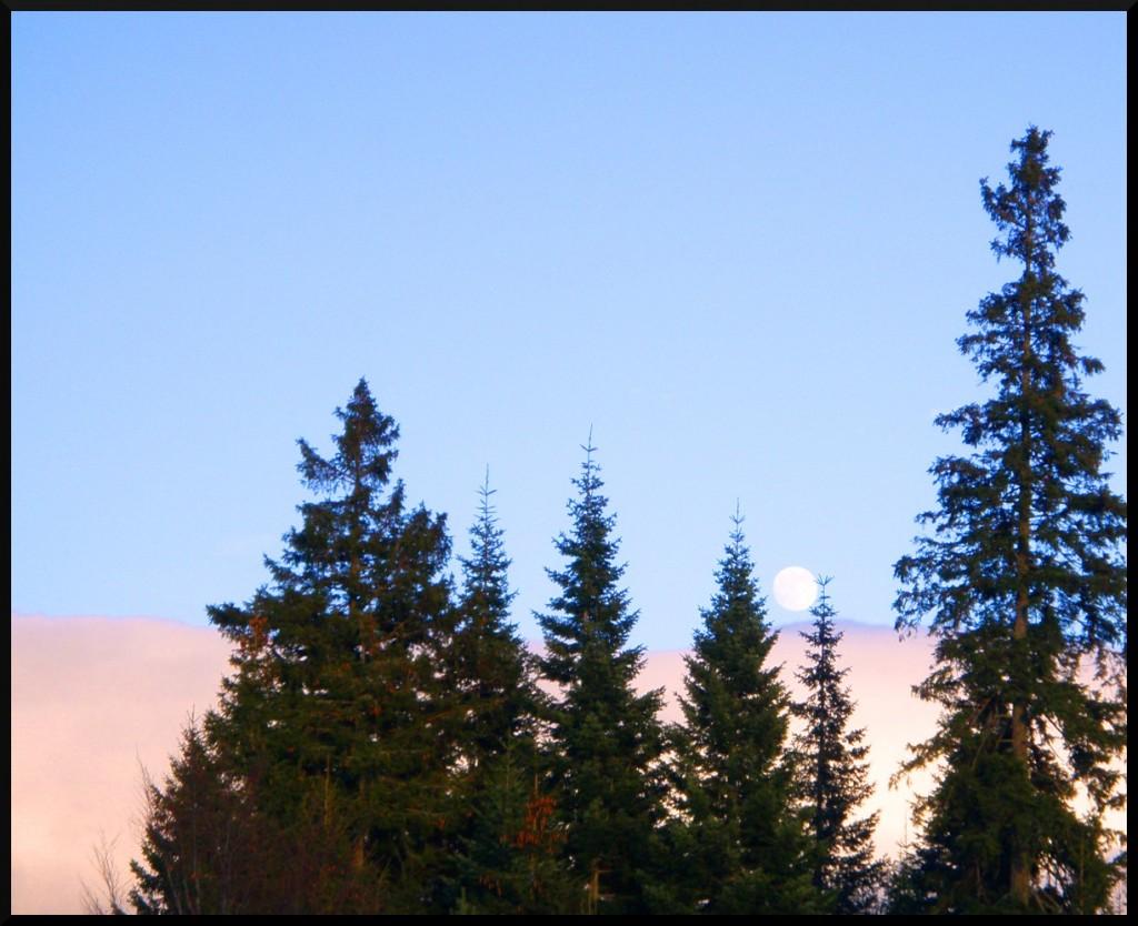 2019 Lune… qui joue à cache-cache