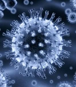 Strasbourg, Grippe H1N1, des parlementaires du Conseil de l’Europe veulent une enquête…