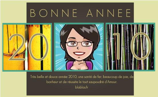 voeux2010 voeux2010