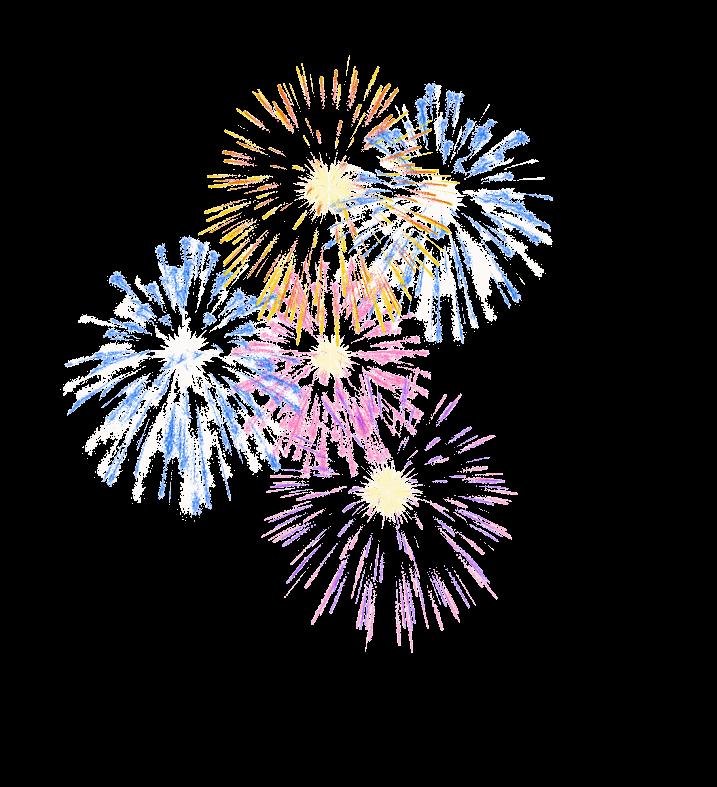Joyeux anniversaire !! feu_artifice_gif