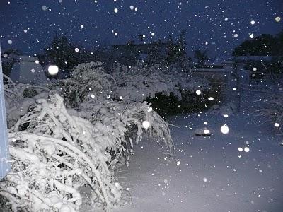 Roquemaure sous la neige (chez moi)