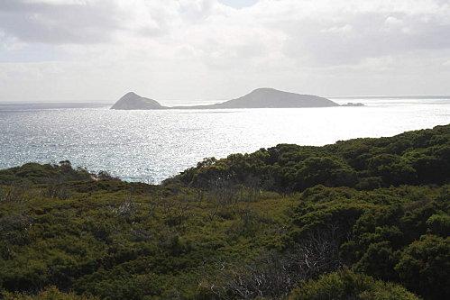 Philip-Island-Wilson-Promontary 2010