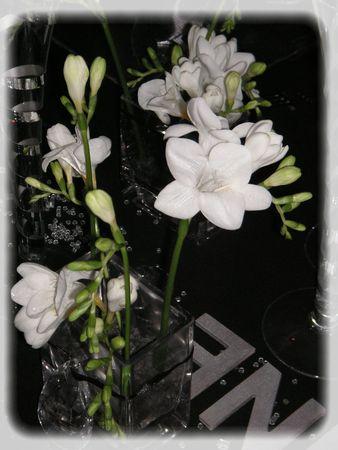 ~~Réveillon du 31...~~ PICT0033_0006