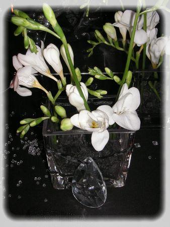 ~~Réveillon du 31...~~ PICT0009_0010