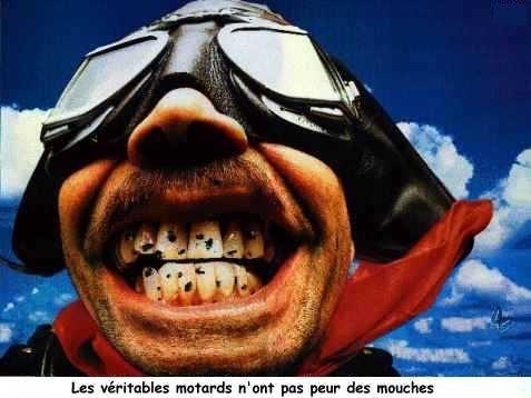 les dents !!! dents 12.jpg