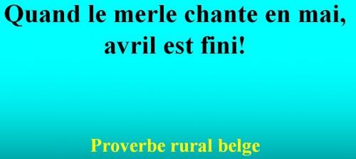 proverbes et dictons ! t11.jpg