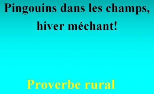 proverbes et dictons ! t12.jpg